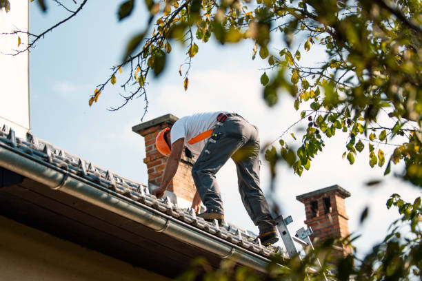 Best Chimney Flashing Repair  in Luverne, MN