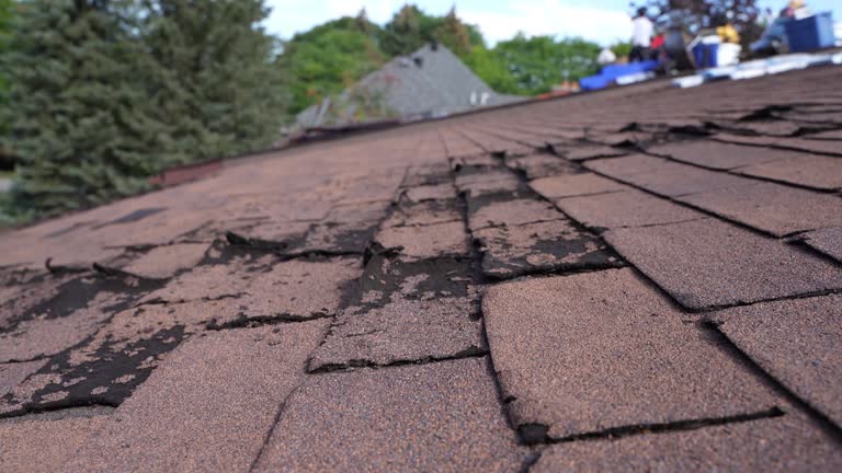 Roof Insulation in Luverne, MN