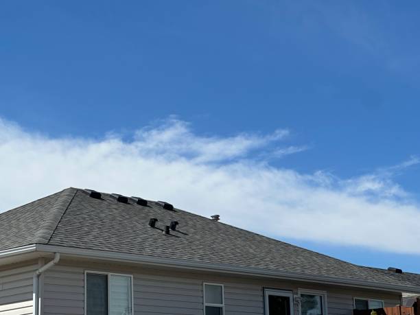 Best Roof Coating and Sealing  in Luverne, MN